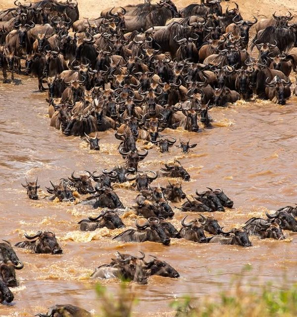 456697445_1334562047917860_4765583850995904507_n