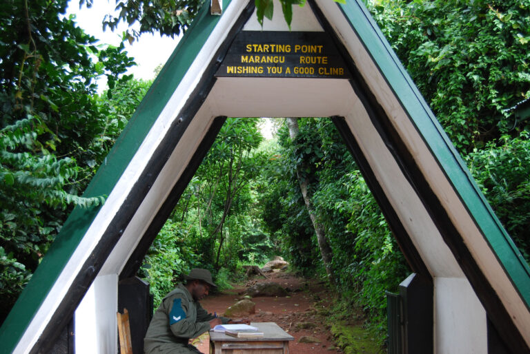 Mount Kilimanjaro Day Hike